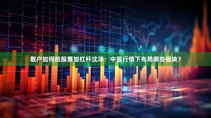 散户如何给股票加杠杆沈淳：中报行情下布局哪些板块？