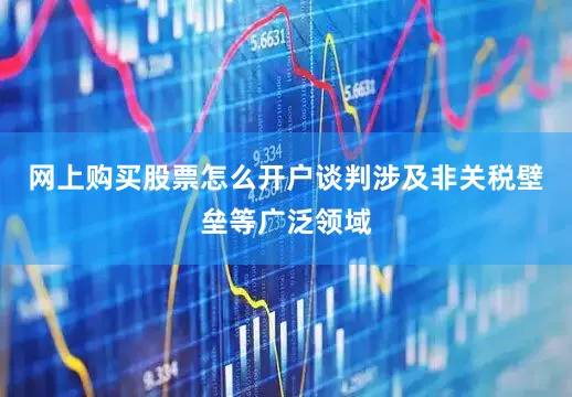 网上购买股票怎么开户谈判涉及非关税壁垒等广泛领域